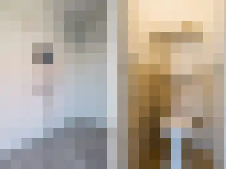 Súdkant 5 Aldeboarn thumbnail 17