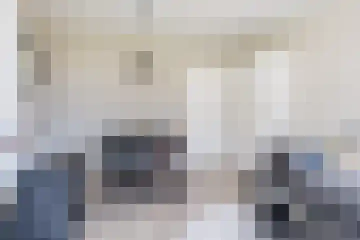 Súdkant 5 Aldeboarn thumbnail 7