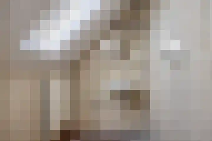 Suermondsweg 14 A Smilde thumbnail 22
