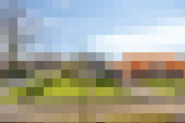 Suermondsweg 14 A Smilde thumbnail 27