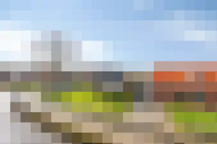 Suermondsweg 14 A Smilde thumbnail 28