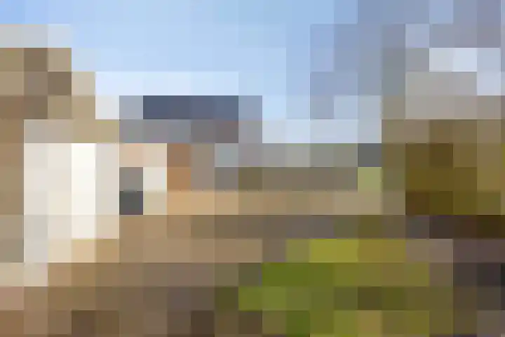 Suermondsweg 14 A Smilde thumbnail 31
