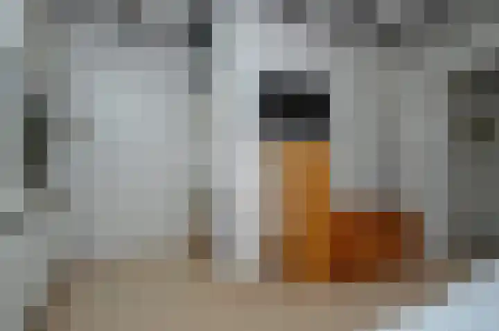 Suezlaan 4 Deurne thumbnail 18