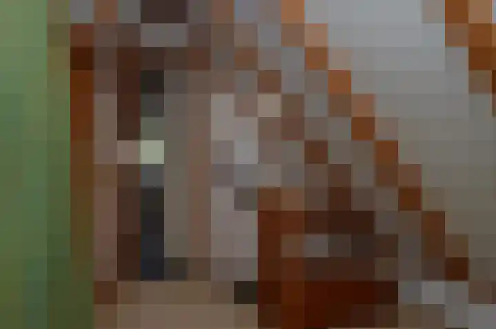 Suezlaan 4 Deurne thumbnail 23