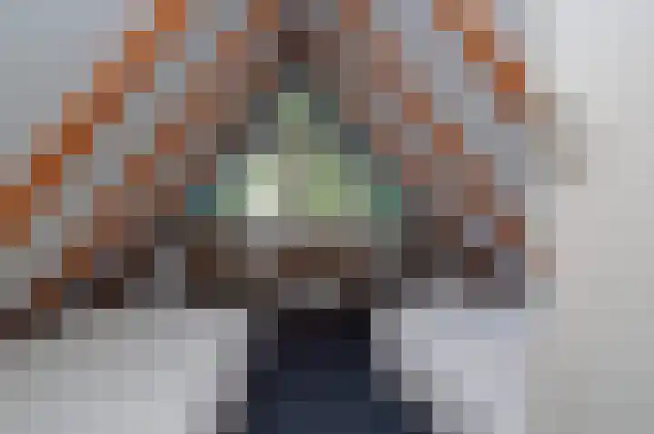 Suezlaan 4 Deurne thumbnail 24