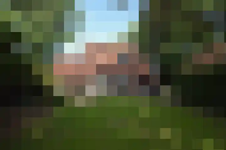 Suezlaan 4 Deurne thumbnail 26