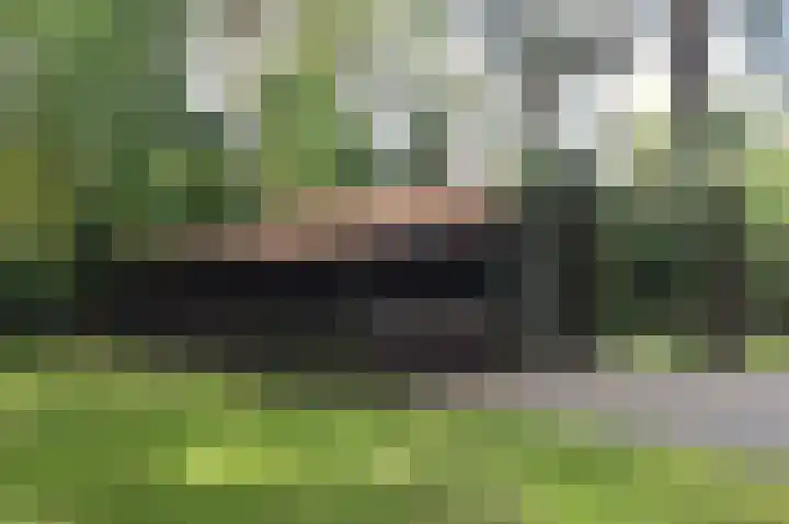 Suezlaan 4 Deurne thumbnail 30