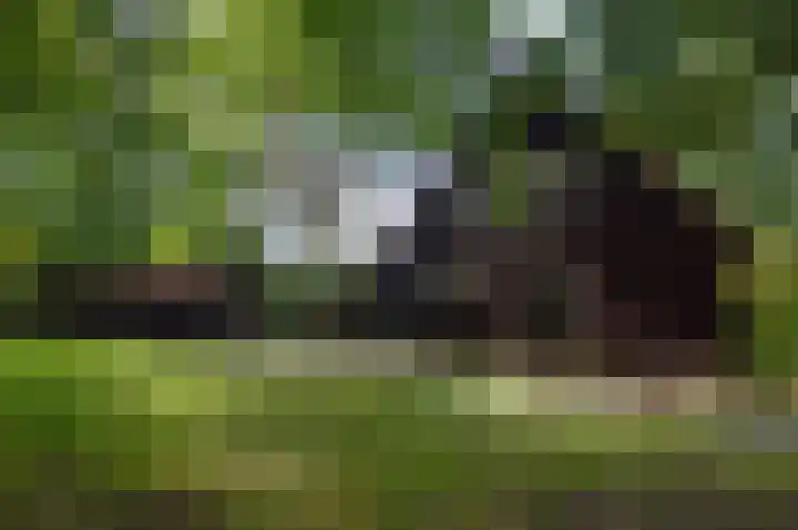 Suezlaan 4 Deurne thumbnail 32