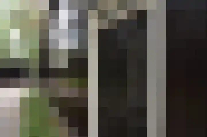 Suezlaan 4 Deurne thumbnail 33