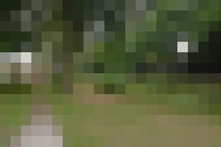 Suezlaan 4 Deurne thumbnail 34