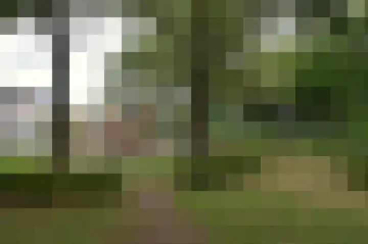 Suezlaan 4 Deurne thumbnail 35