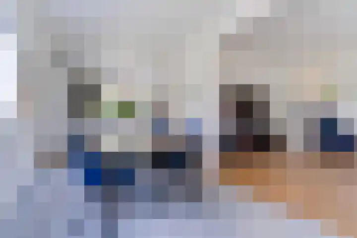 Suijlke 2 Mierlo thumbnail 10