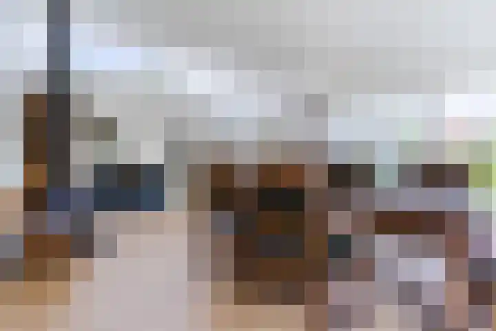 Suijlke 2 Mierlo thumbnail 13