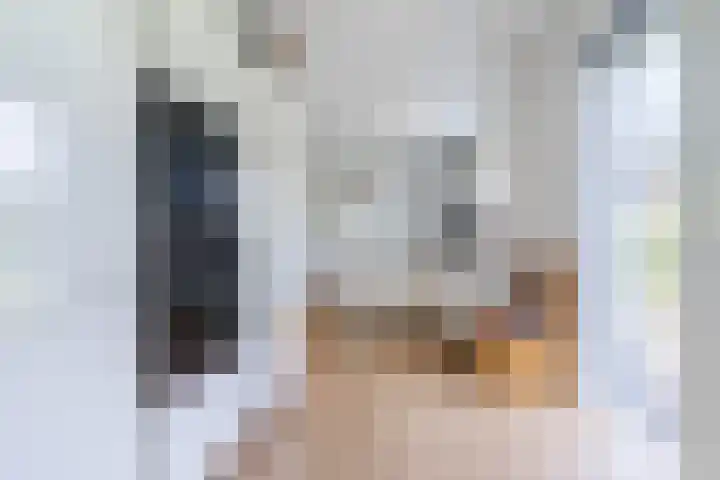Suijlke 2 Mierlo thumbnail 15