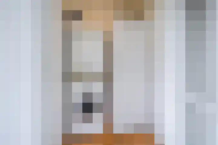 Suijlke 2 Mierlo thumbnail 19