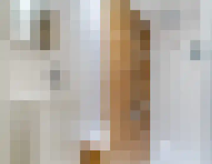 Suijlke 2 Mierlo thumbnail 22