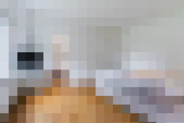 Suijlke 2 Mierlo thumbnail 23