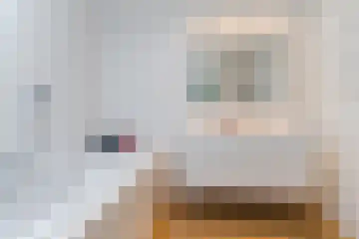Suijlke 2 Mierlo thumbnail 28