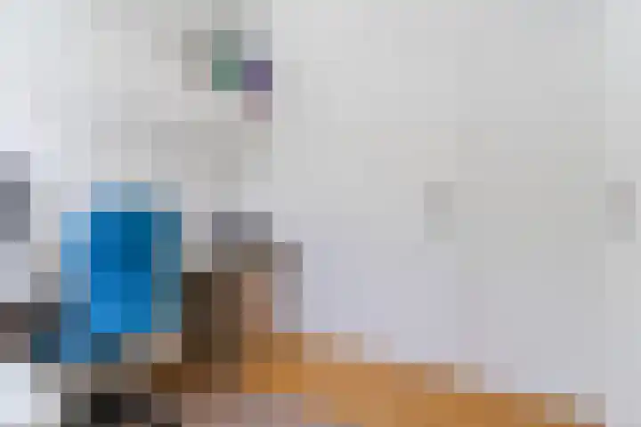 Suijlke 2 Mierlo thumbnail 33