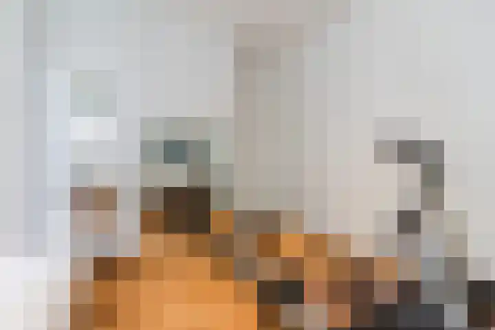 Suijlke 2 Mierlo thumbnail 35