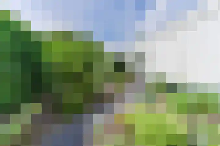 Suijlke 2 Mierlo thumbnail 40