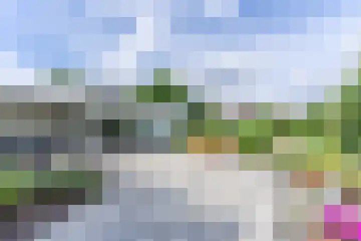 Suijlke 2 Mierlo thumbnail 41