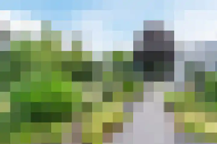 Suijlke 2 Mierlo thumbnail 42