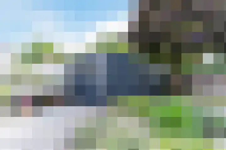 Suijlke 2 Mierlo thumbnail 44
