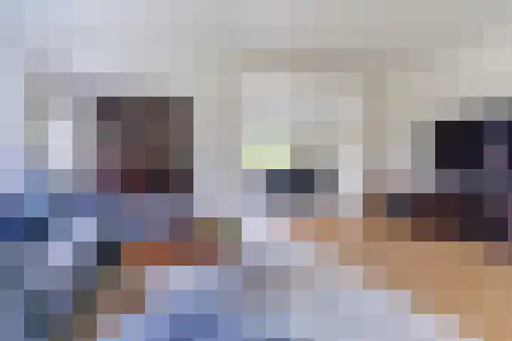 Suijlke 2 Mierlo thumbnail 5
