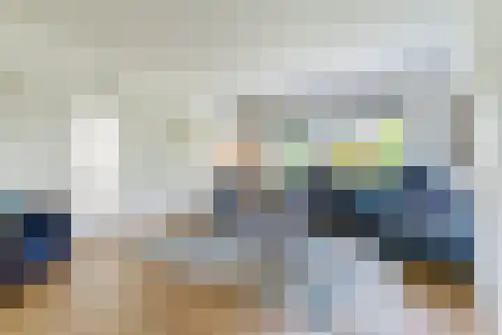 Suijlke 2 Mierlo thumbnail 6