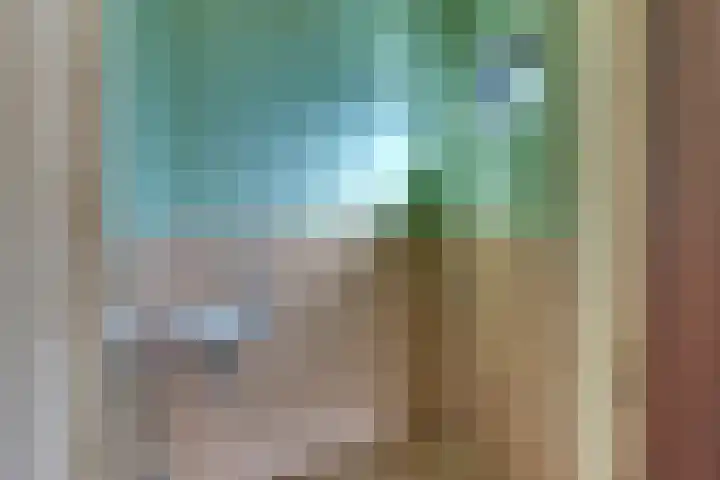 Suikerbakker 16 Ermelo thumbnail 16