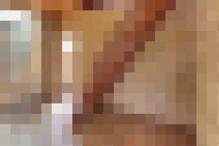 Suikerbakker 16 Ermelo thumbnail 17