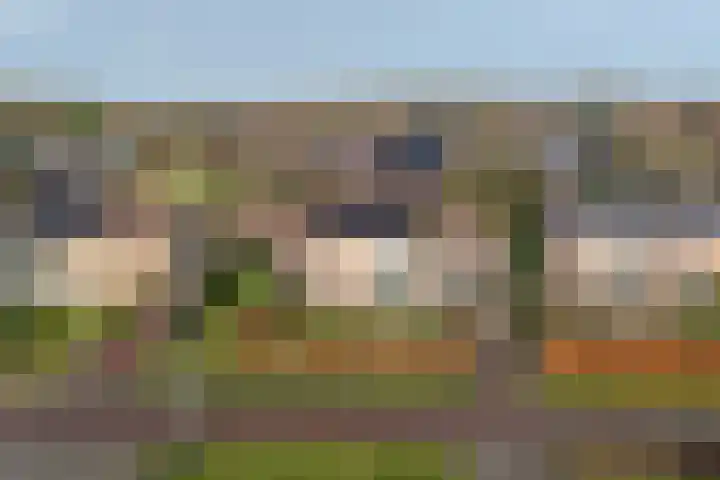 Suikerbakker 16 Ermelo thumbnail 42