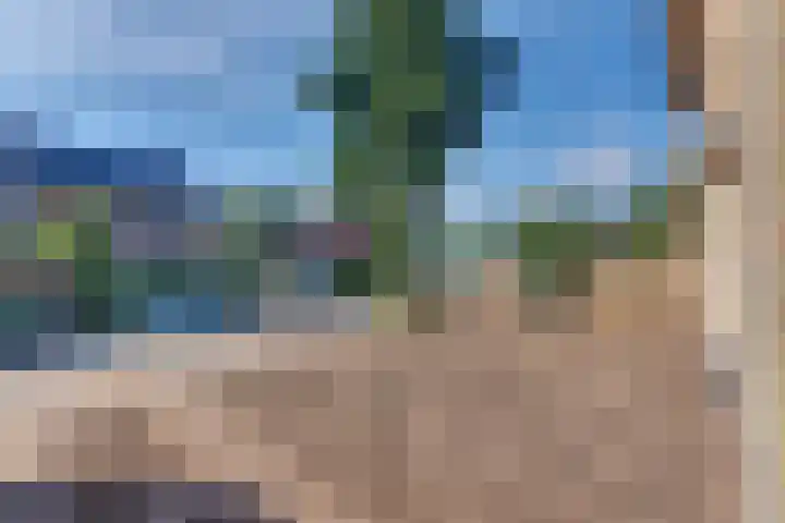 Suikerbakker 16 Ermelo thumbnail 43