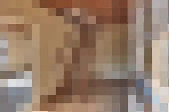 Suikerbakker 16 Ermelo thumbnail 5