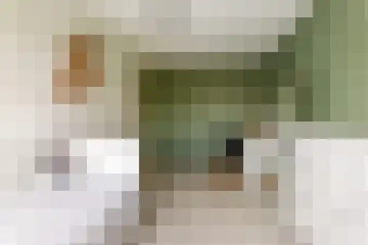 Suikerbakker 55 A Ermelo thumbnail 20