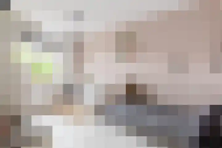 Suikerbakker 55 A Ermelo thumbnail 21