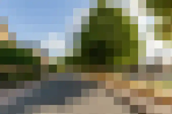 Suikerbakker 55 A Ermelo thumbnail 32