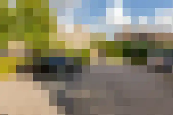 Suikerbakker 55 A Ermelo thumbnail 33