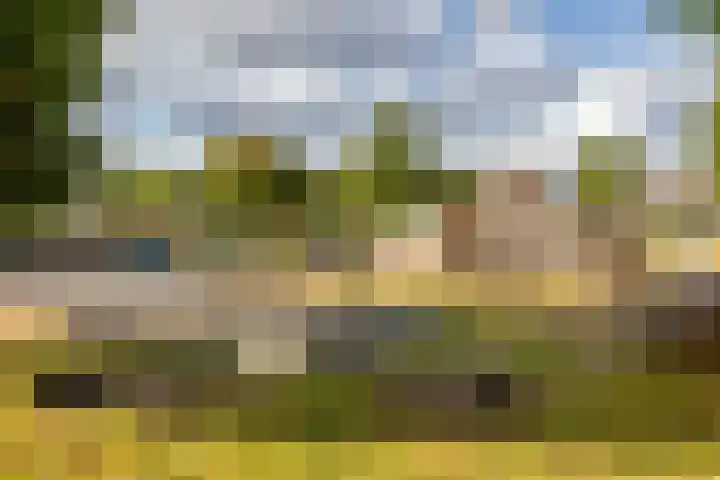 Suikerbakker 55 A Ermelo thumbnail 34