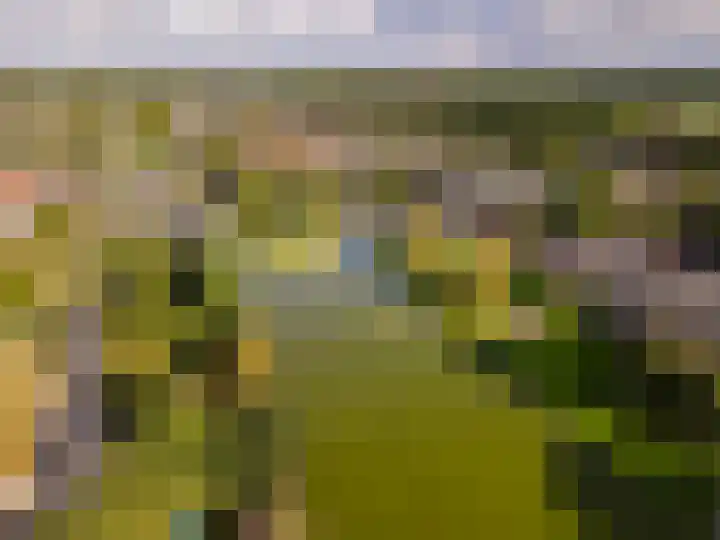 Suikerbakker 55 A Ermelo thumbnail 35