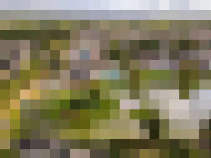 Suikerbakker 55 A Ermelo thumbnail 36
