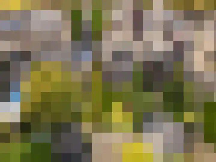Suikerbakker 55 A Ermelo thumbnail 38