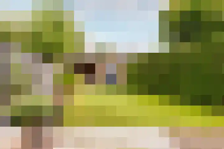 Suikerbakker 55 A Ermelo thumbnail 6