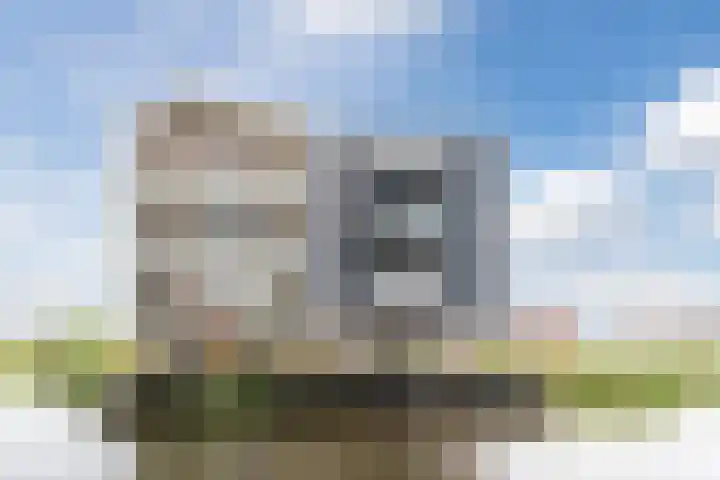 Suikerpeer 13 Boskoop