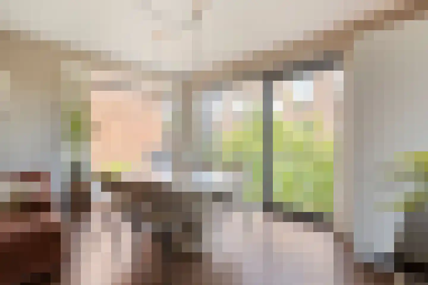 Suikerpeerpad 3 Amsterdam thumbnail 15