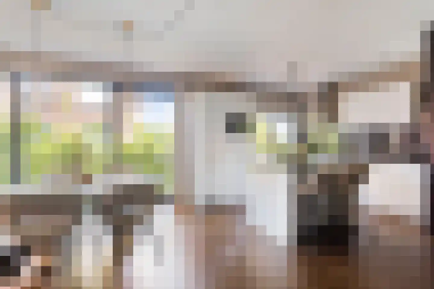 Suikerpeerpad 3 Amsterdam thumbnail 16