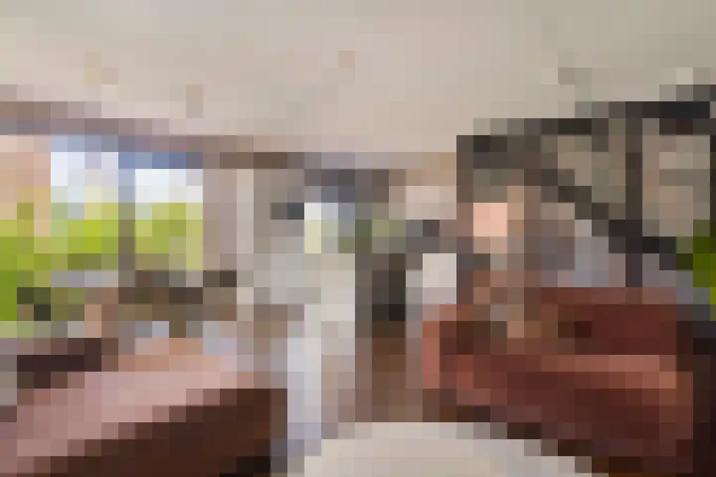 Suikerpeerpad 3 Amsterdam foto 2