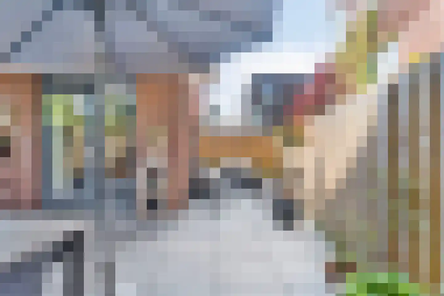 Suikerpeerpad 3 Amsterdam thumbnail 30
