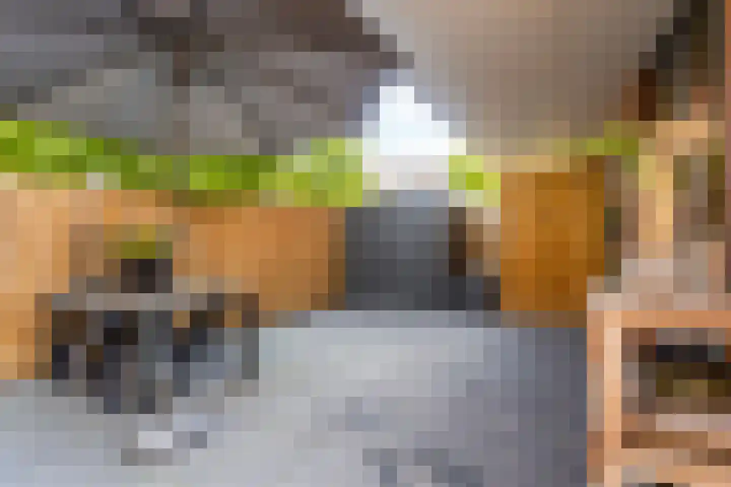 Suikerpeerpad 3 Amsterdam thumbnail 33